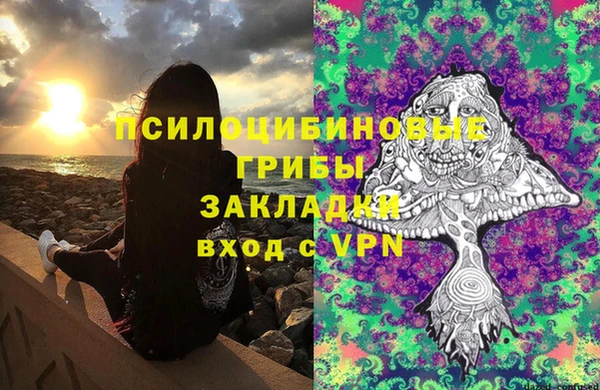 прущие крисы Абаза