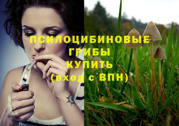 трава Абинск