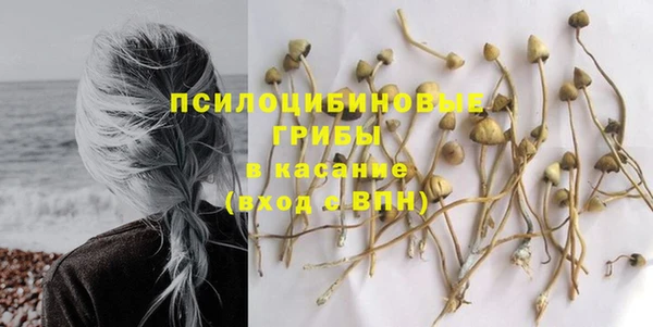 трава Абинск