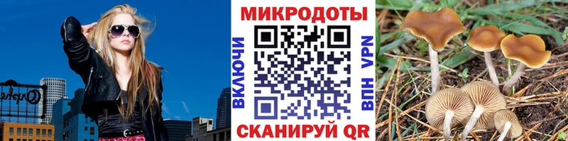 KRAKEN ONION  Чебаркуль  Галлюциногенные грибы ЛСД  сколько стоит 